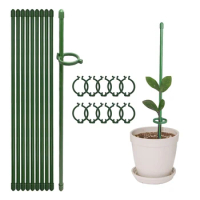 10Pcs Plant Support Stakes 12 Inch Green Plant Sticks With Adjustable Retaining Ring Indoor Outdoor Garden Flower Pot Stand
