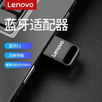 聯想USB藍牙5.1接收器 兼容滑鼠鍵盤手掣 筆電無線連接適配器- 黑色【藍牙5.1】支持Win7/8/10★20米穩定傳輸 均碼