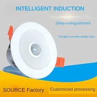 Radar Induction LED Downlights, Infrared Human Body Induction Tube Lamp, Voice Controlled Light Control Lamp, LED Lamp, Hotel