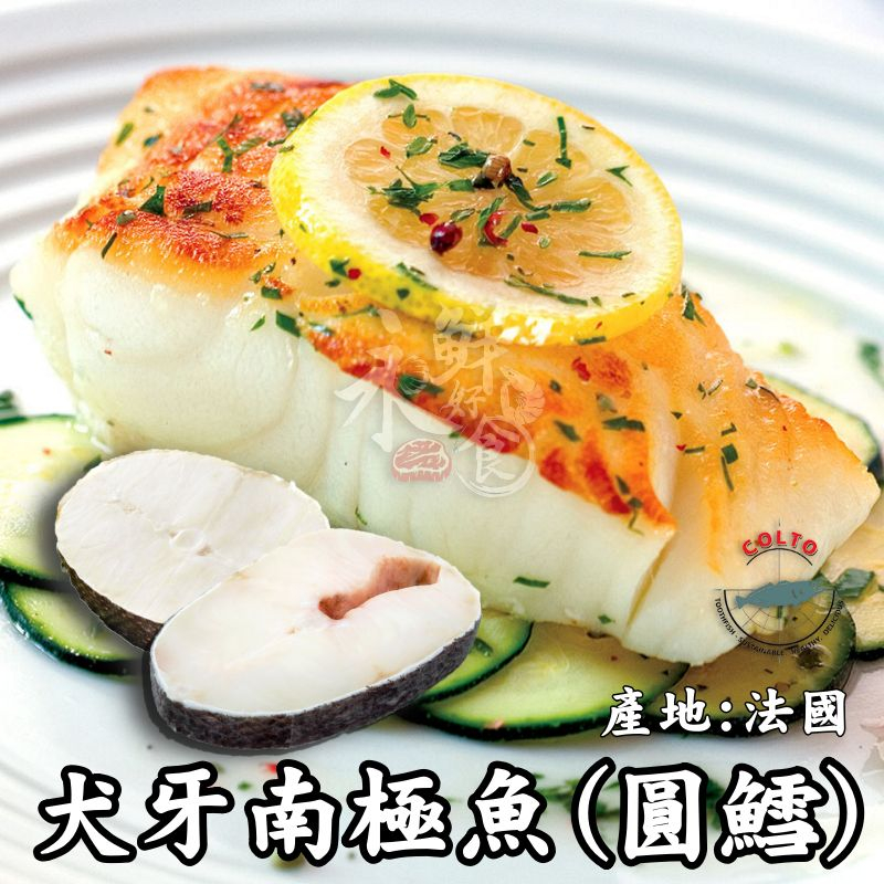 真圓鱈的價格推薦 22年2月 比價比個夠biggo
