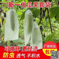 無紡布包瓜苦瓜絲瓜防蟲網袋套袋羊角蜜保護袋防針蜂防果蠅專用袋-UM.有米家居
