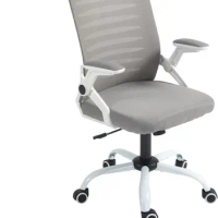 Panana Mesh Back Chair Ergonomic Swivel Chair Office Computer Desk Chair Executive Lumbar Support Flip-up Armrest (Grey)