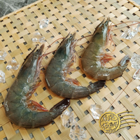 泰國白蝦 21/25 箱購 (500g x12盒)【免運】冷凍海鮮