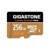  【5 年資料救援】Micro SD 記憶卡，4K Camera Extreme MAX 系列 MicroSDXC UHS-I A2 U3 256GB