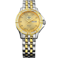 ARSA 璀璨光輝機械腕錶(45mm)