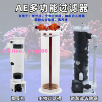 AE多功能過濾器生物過濾桶煮豆機沸石桶磷酸鹽硝酸鹽去除器流沙桶