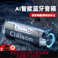 {臺灣公司貨 可打統編}藍牙音箱柏林之聲無線音響高品質戶外防水便攜式迷你隨身重低音炮
