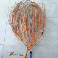 Uli gadang kulit merah super jumbo