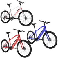 *Dosun CT150電輔旅行自行車-極鑽藍/動感紅/珍珠白-14吋/16吋/17吋