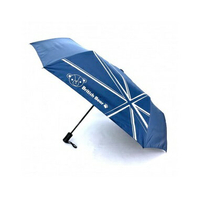 【現貨】折疊傘 雨傘 英國熊自動開收摺疊傘 陽傘 自動傘 迷你傘 太陽傘 雨具 折傘 柚柚的店