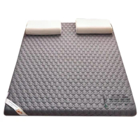 Single Double Wormwood Health Repellent Mattress Foldable Slow rebound Sponge Mattresses Thicken Tatami King Queen Twin Size