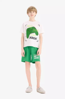 DeFacto Boys' Xbox Pajamas Set Short Sleeve Top Elastic Waist Shorts E0345A825Hs