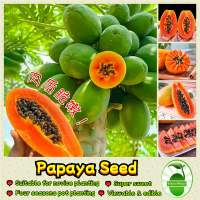 10เมล็ด/ซอง เมล็ดพันธ์มะละกอ Sweet Papaya Seeds for Planting Papaya Fruit Seeds Bonsai Papaya Seeds 