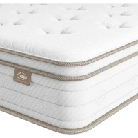 Queen Mattress 12 Inches, Memory Foam Built-in Spring Hybrid Mattress for Pressure Relief and Support Queen Size Mattress