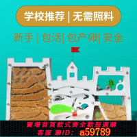 【台灣公司 可打統編】【1332人收藏】免裝版螞蟻工坊 送蟻后卵養螞蟻城堡巢家園生態箱螞蟻昆蟲觀察盒
