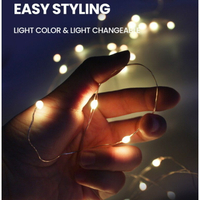 8色LED派對燈串組【10米】大燈珠USB遙控銅線燈串彩色5種模式派對裝飾樹燈