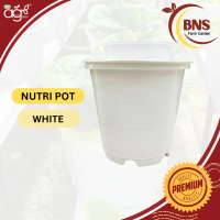 AgroBuddy x BNS Pasu Hidroponik | NutriPot Self Watering Pot Autopot Hydroponic