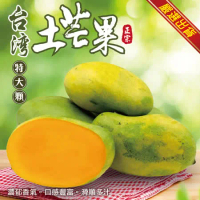 【果之蔬】台灣大顆土芒果(10斤/箱)