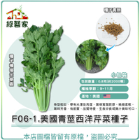 【綠藝家】F06-1.美國青莖西洋芹菜種子0.8克(約2000顆)