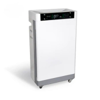 Portable voice control home Air Purifier true HEPA 13 grade air purifier
