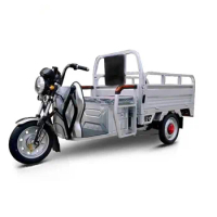 600W/800W/1000W Tricycle Adult Electric Cargo Bike Trikes Electric Motorcycle 4 Wheel Electric Bike 60V Open