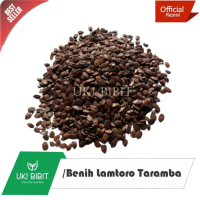 ( 100 Gram ) Benih Lamtoro Taramba - Hijauan Pakan Ternak