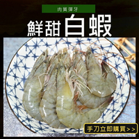鮮凍海水養殖大白蝦(20-25尾斤)