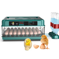 Automatic Egg Hatcher Mini Functional Dual Power Supply Small Chicken Egg Incubator For Sale