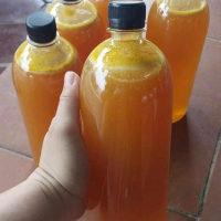 Thương Hiệu Mật Ong Khoái Chuẩn Rừng Chai 1 Lít - Siro Dịu Đau Họng & Tăng Năng Lượng Từ Fructose Và