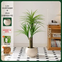 掬涵北歐輕奢模擬綠植龍血樹大型落地盆栽高階假植物客廳裝飾擺件