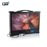 4K Medical Endoscope imaging System with 24 Inches Monitor
