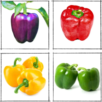 Naya Seeds Biji Benih Paprika Sweet Pepper isi 5 biji paket Sayuran