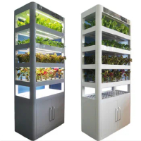 indoor growing Smart low cost greenhouse vertical tower garden hydroponic grow systems for sale plant fish vegetable with LED
