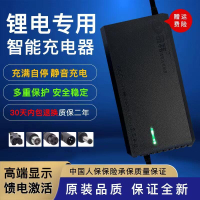 【全館免運】48v5a電動車鋰充電器 三元54.6v5a58.8v3a鐵鋰54.8v8a58.4v10a
