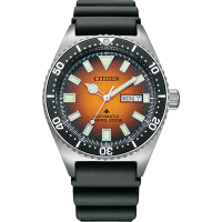 CITIZEN 星辰 PROMASTER 200米潛水機械手錶-41mm / NY0120-01Z