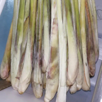 Batang Sereh/serai 1 kg