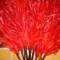 Bulu Topi Drumband