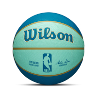 Wilson 籃球 NBA 綠 藍 夏洛特黃蜂 城市限定 7 號球 吸濕 排汗 威爾森 WZ4024204XB7