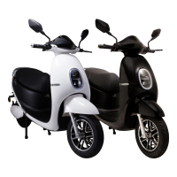 【ZAU】ES-1000 普通輕型電動機車