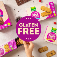 GULLON Gluten Free Cookies (130g / 225g)