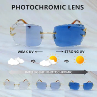 Color Change Photochromic Lenses Sun Glasses Two Colors Lenses Sunglasses 4 Season Glasses Interchangble Vintage Carter Shades