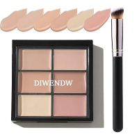 6 Colors Correcting Concealer PaletteColors Corrector PaletteMoisturizing Full Coverag Foundation Cr