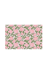 Peony & Blush Suede Design Edition Scented Liners