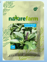 Naturefarm - Benih Aromatic Thai Basil Tumbuhan Kemangi Daun Hijau Merah Ungu