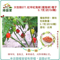 【綠藝家】大包裝G77.紅辛紅鬼椒(魔鬼椒)種子0.7克(約150顆)
