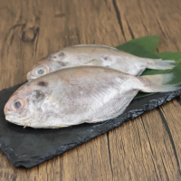 【三頓飯】鮮凍野生肉魚(共12尾_2尾/200g/包)