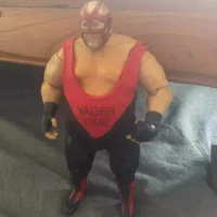 D1333 WWE Wrestlers dolls figures jakks vader TIME