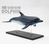 Dolphin 4D Master Animal Anatomy Model PVC Bionics Sea Animals Detachable DIY Assembling Educational Toys For Kid