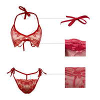 Exclusive Sale [ Redpink ] Lingerie Stelan Bikini Seksi Transparan Wanita Dewasa Corak Bunga Bordir 