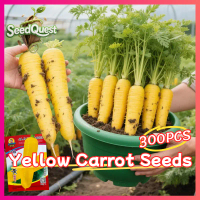 100% Original 300pcs Fresh Yellow Carrot Seeds for Planting Vegetables Plants - High Yield Carrot Ve
